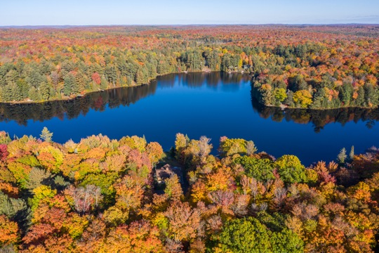 OTTER LAKE DREAM