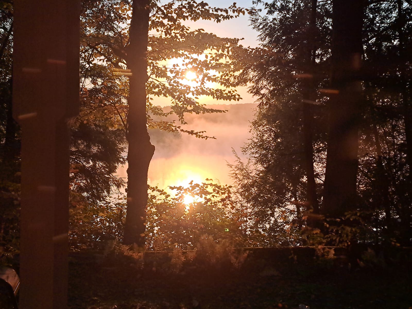 YEAR ROUND TASSO LAKE
